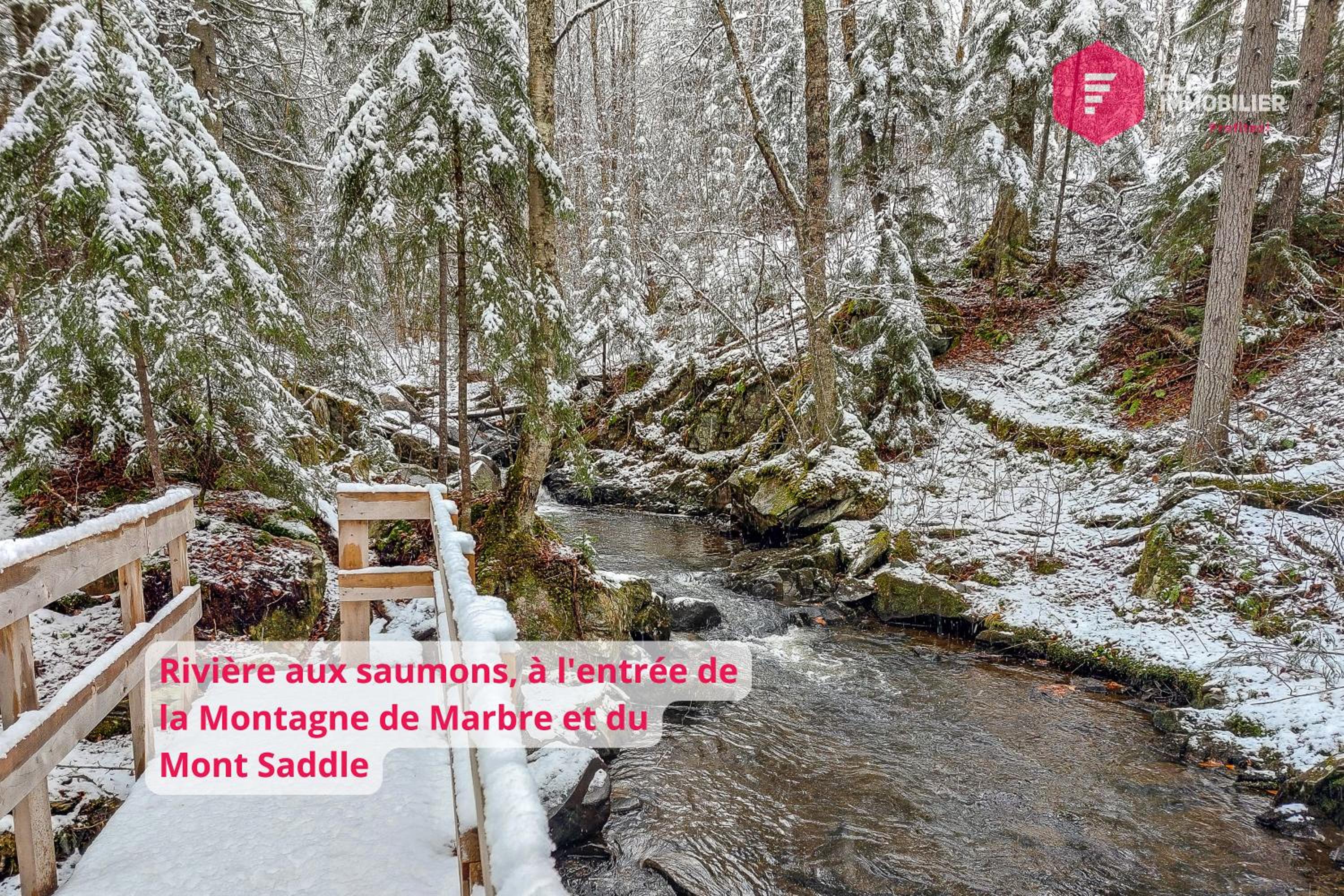 L'Ermite - Rustique Écoresponsable Dans la nature