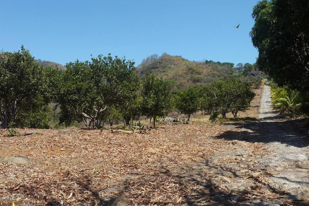 Orange Hills -Atenas-