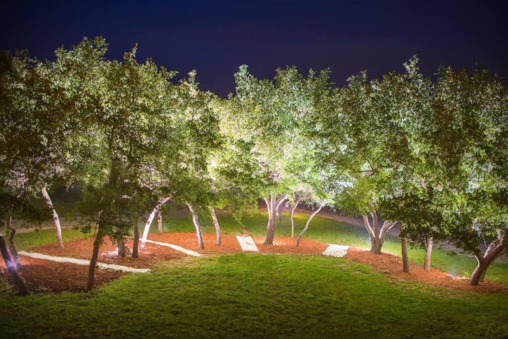 Stargaze at Orion OldStickRanch35milesNWofAustin