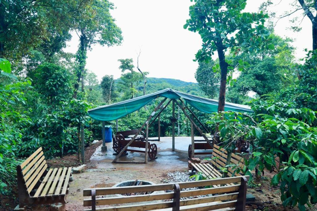 Bhupadam NatureStay