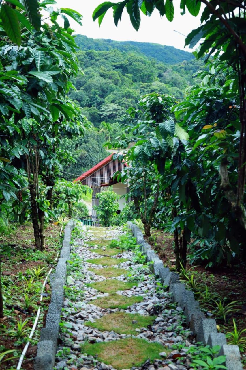 Bhupadam NatureStay