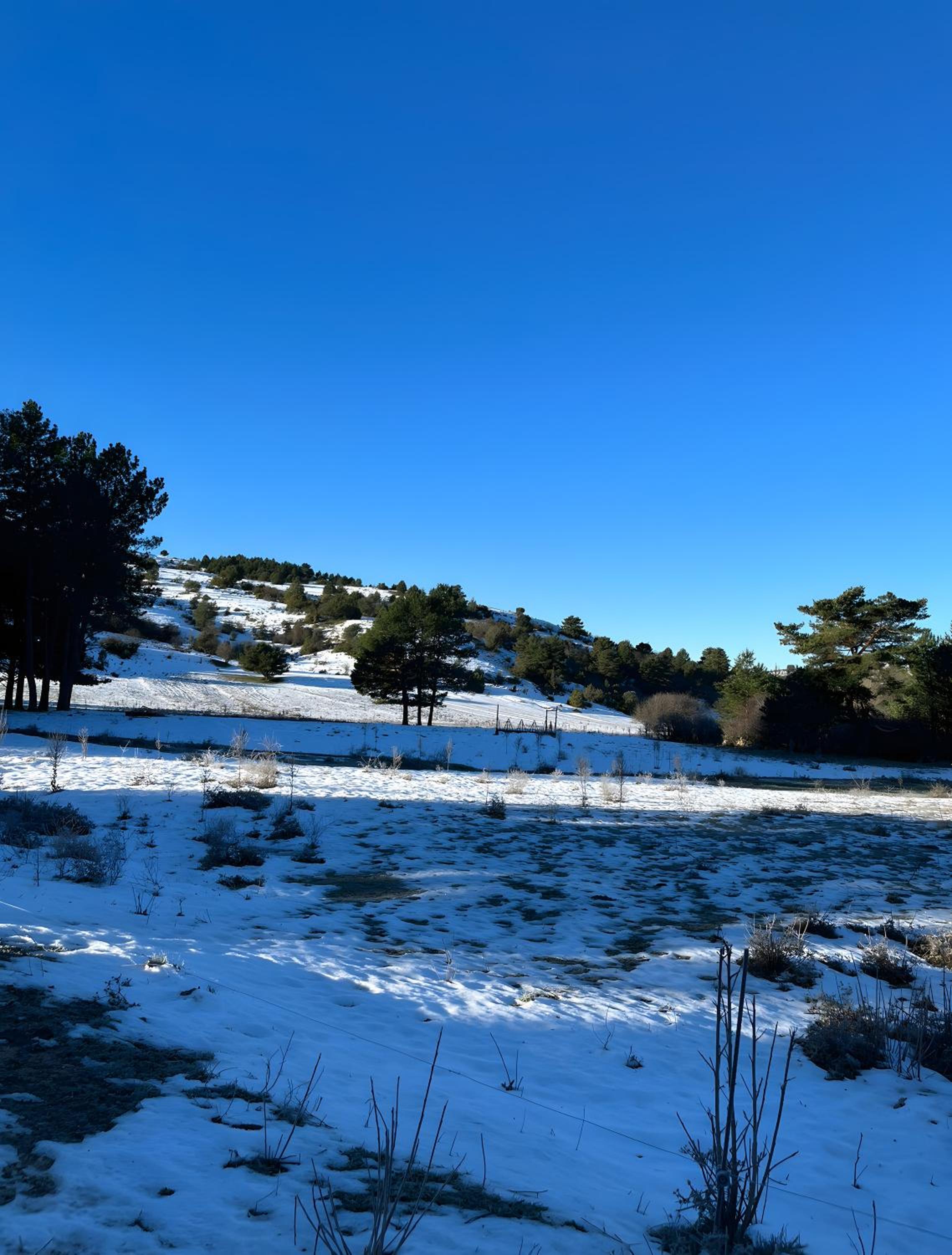 El Mirador De Campumedra