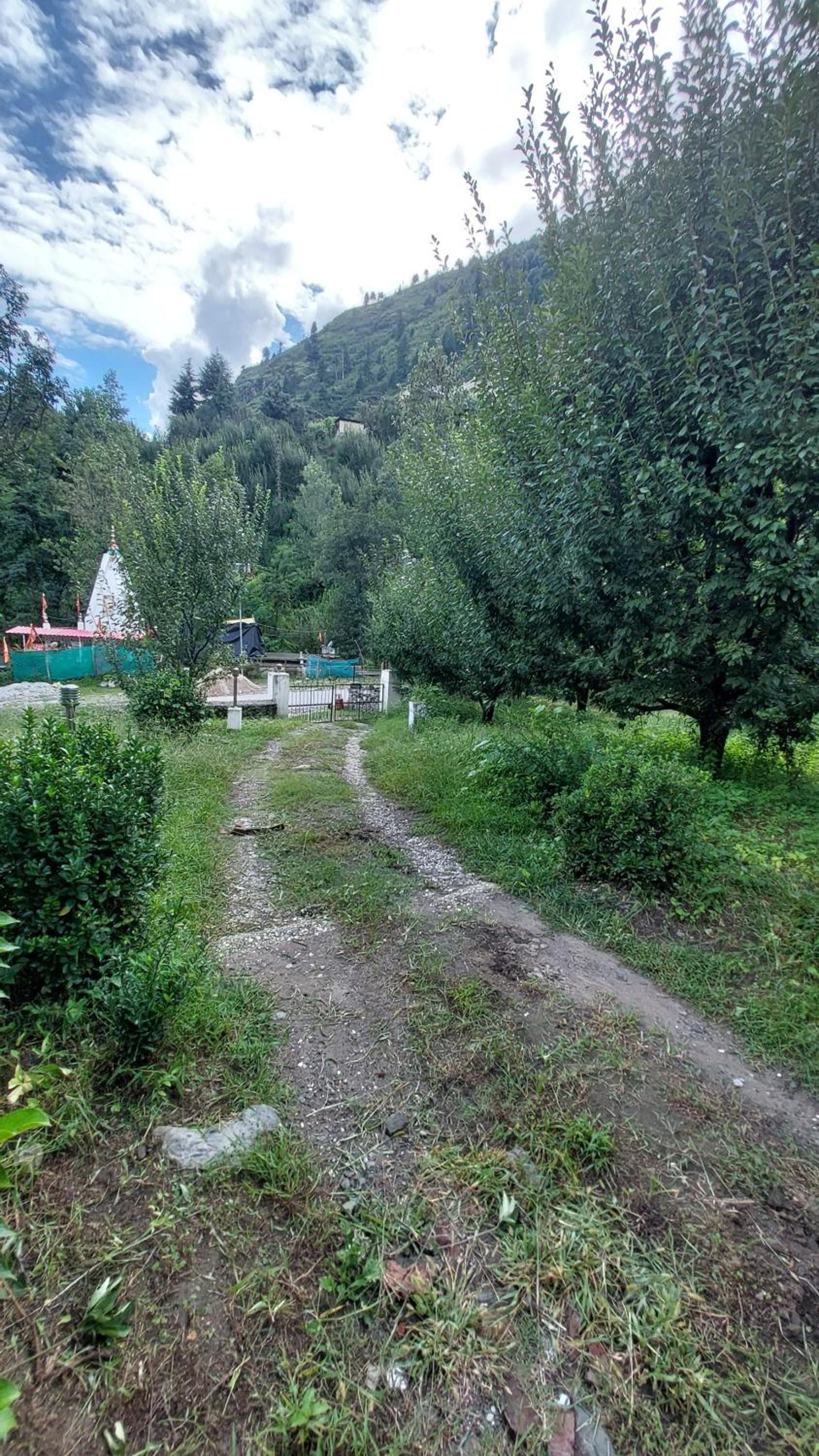Photo 49