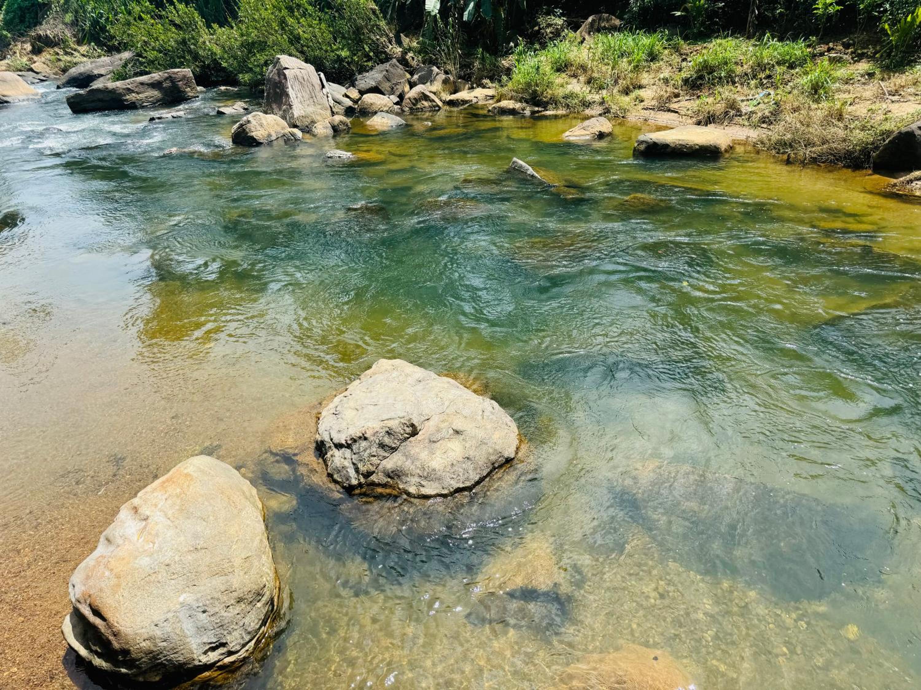 AVA home stay
