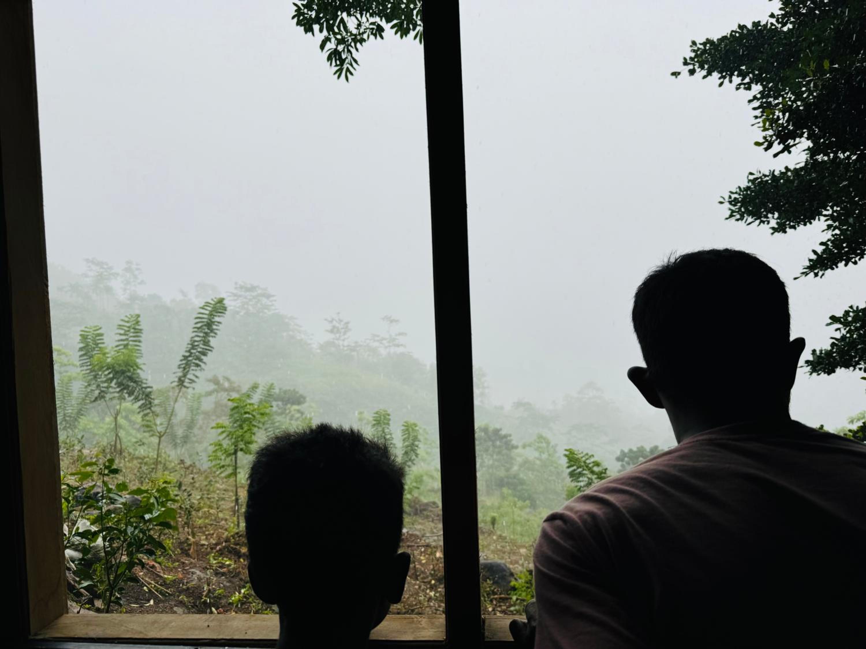AVA home stay