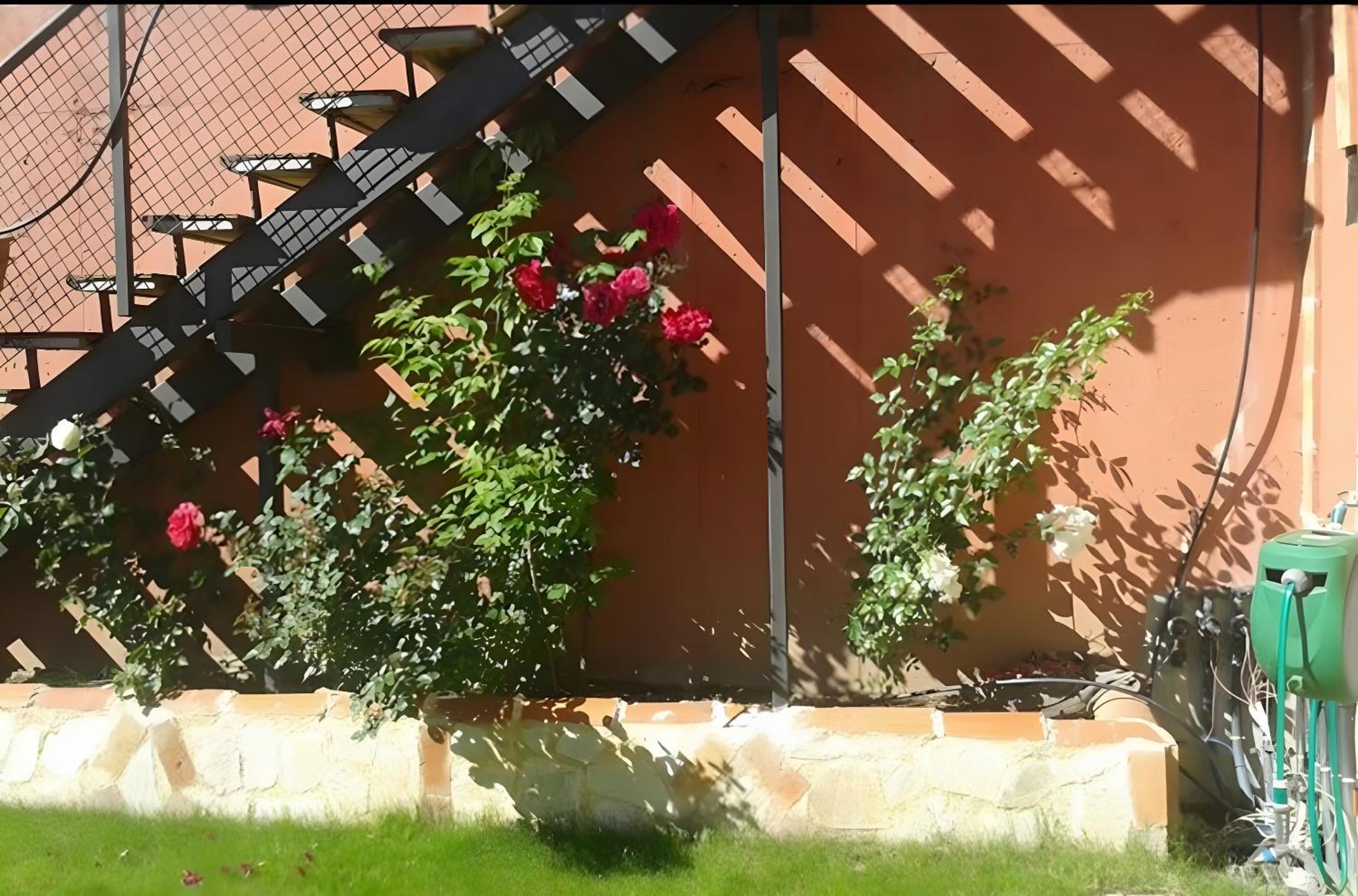 El Mirador De Campumedra