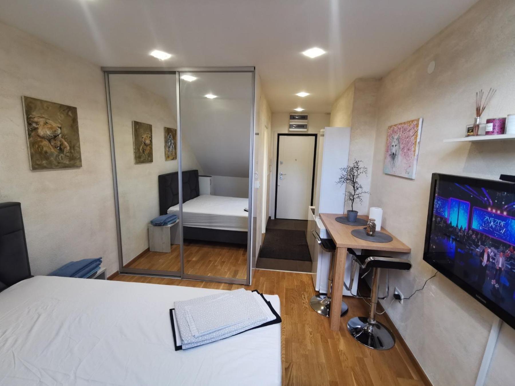 Danilovic Apartmani view 2