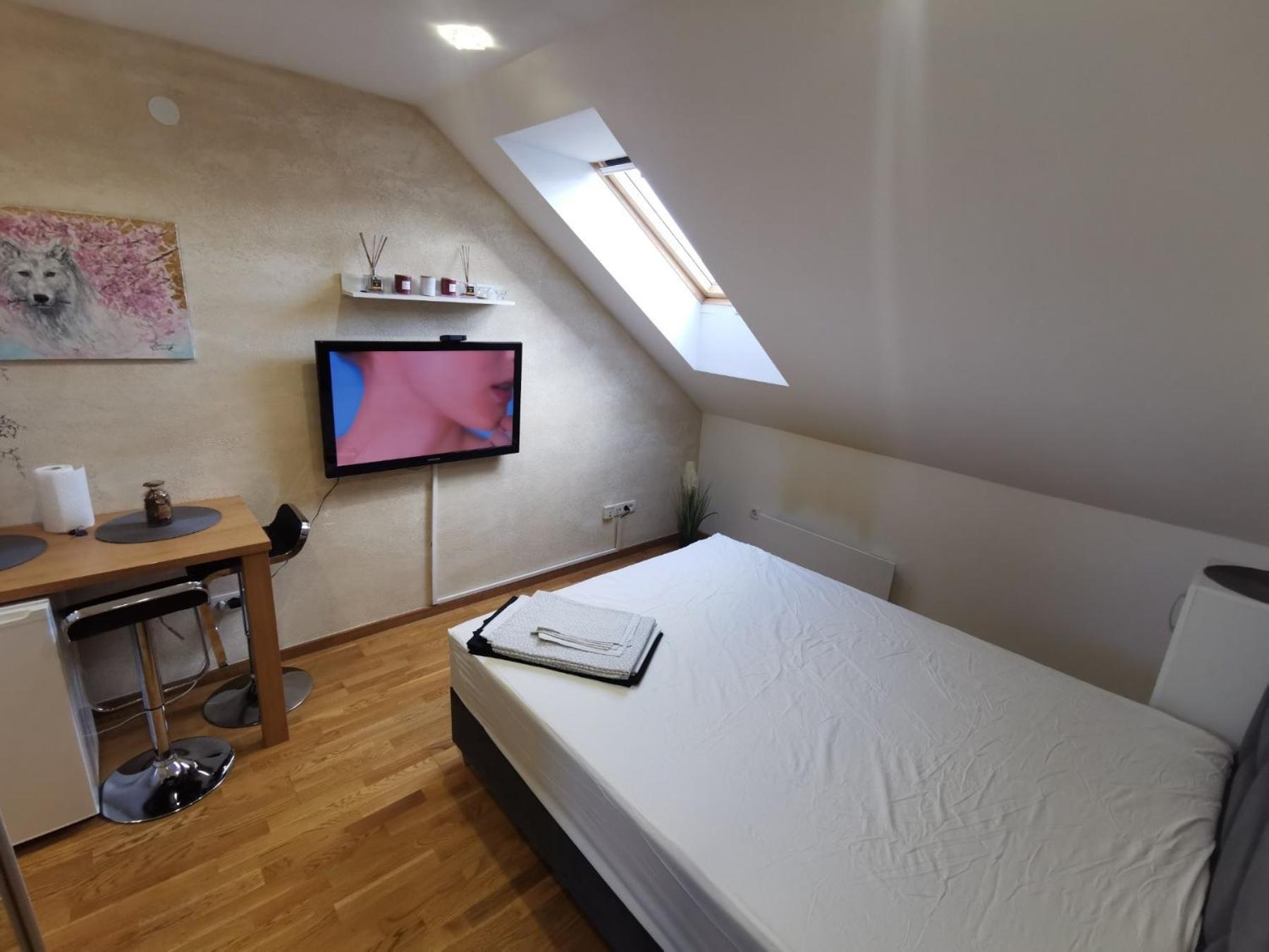 Danilovic Apartmani view 3