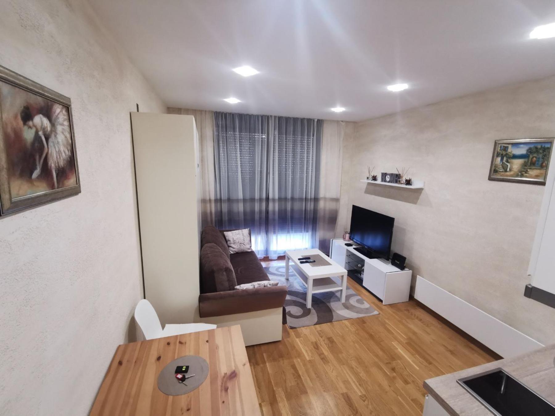 Danilovic Apartmani view 4
