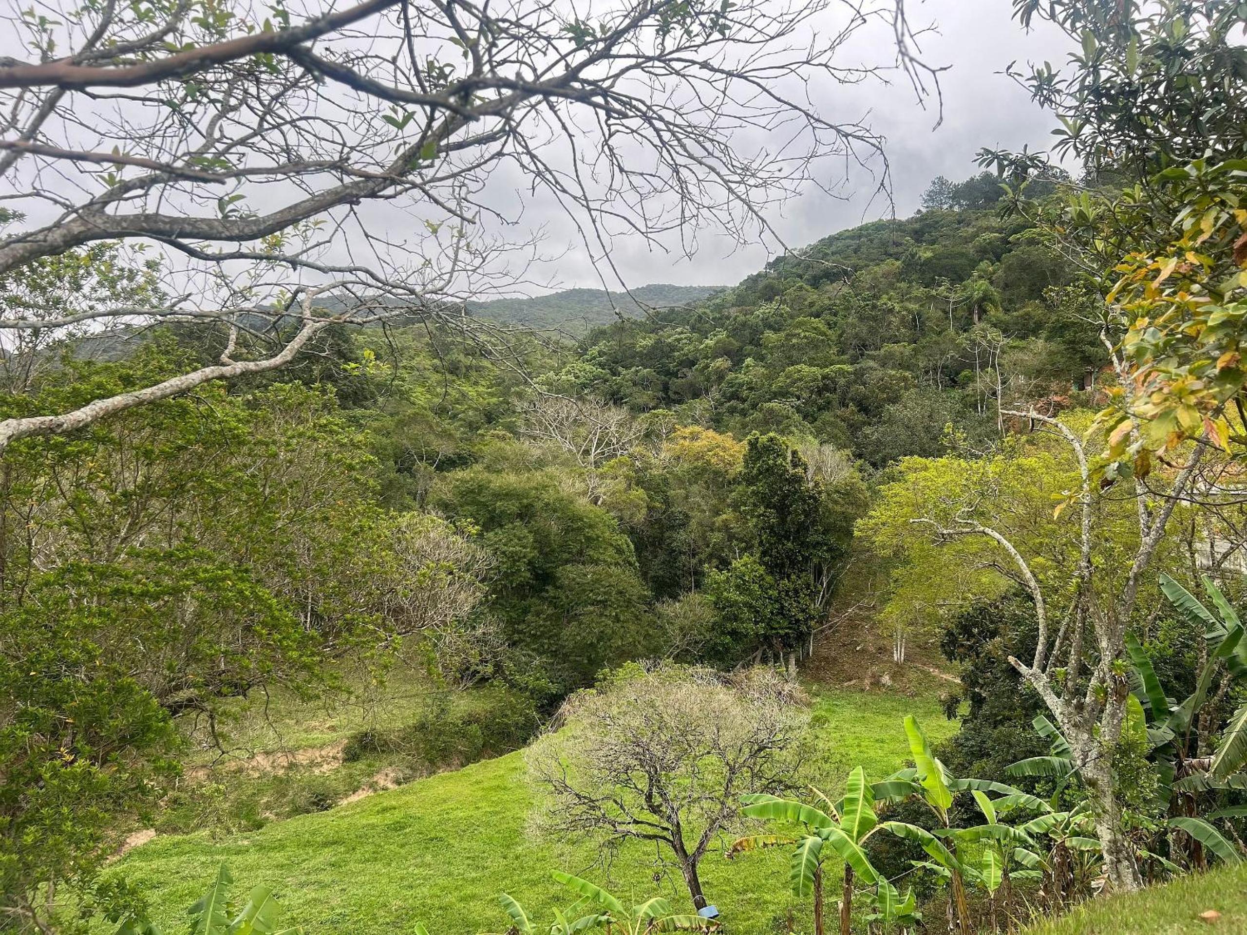 Vista montanha! Com acesso a cachoeira - NU03I