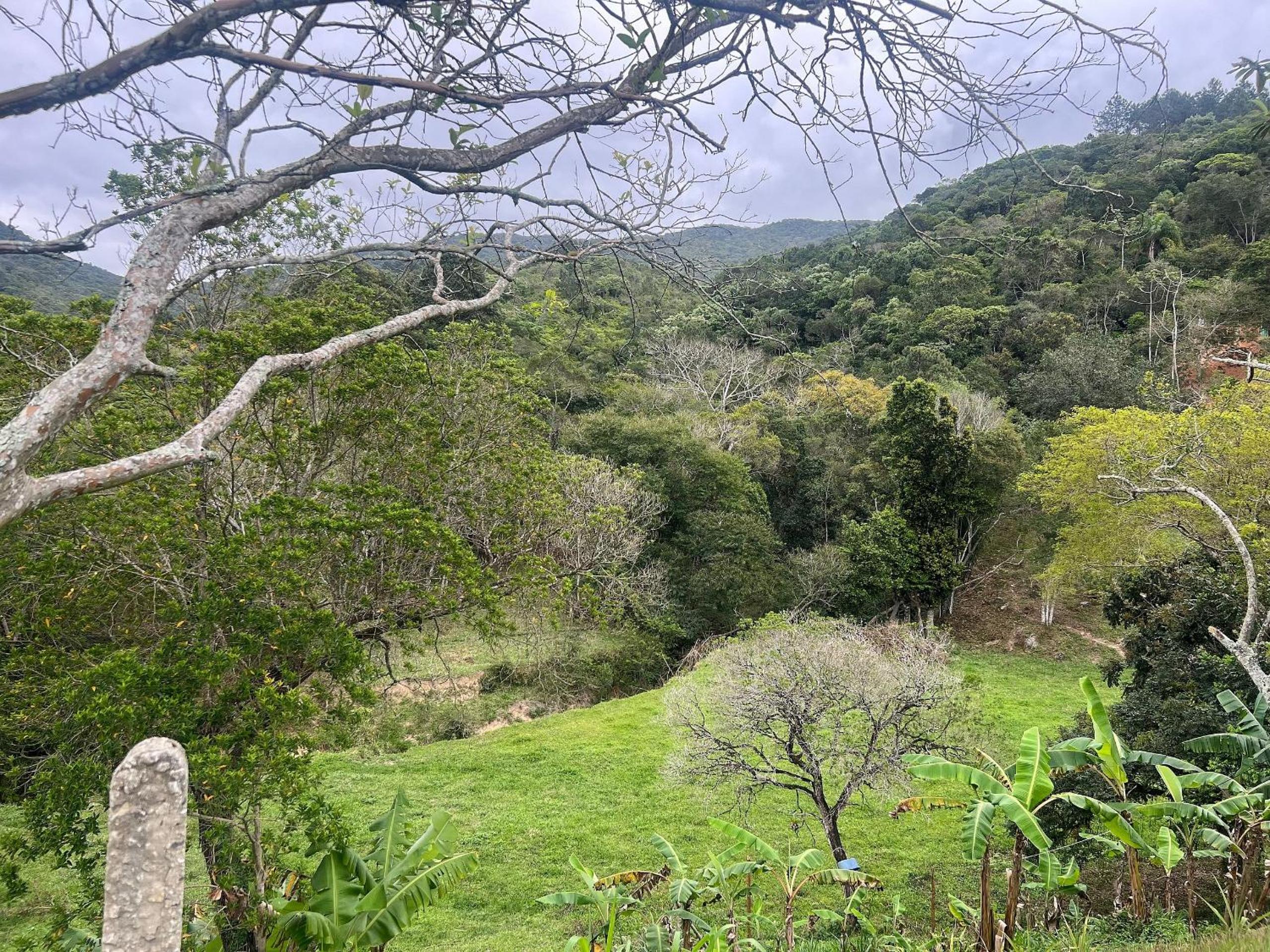 Vista montanha! Com acesso a cachoeira - NU03I