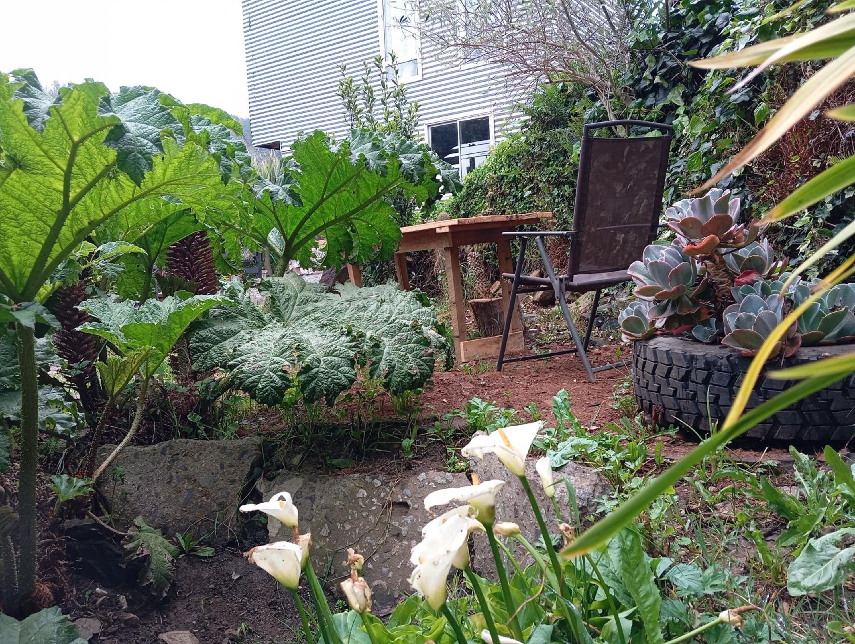 Casa Jardín Tomé