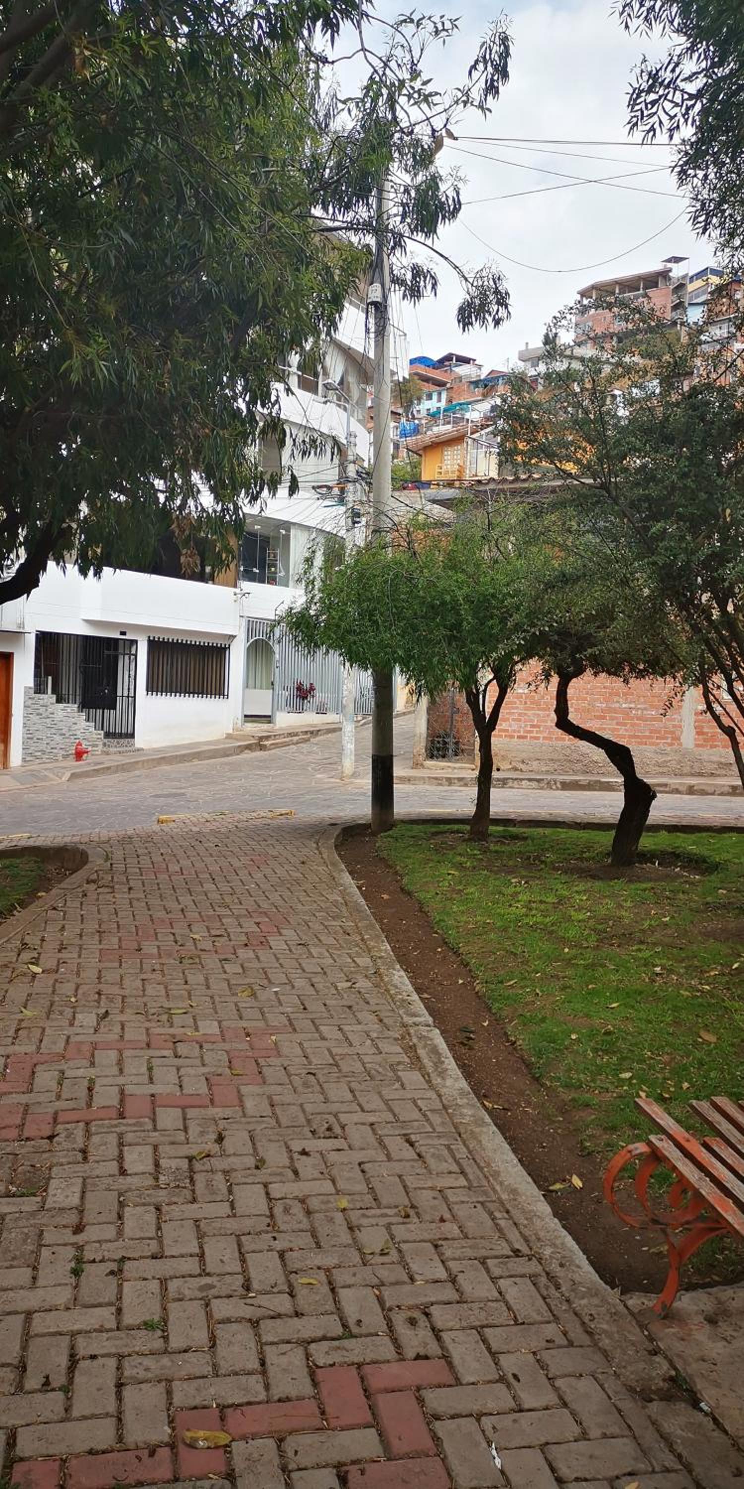 Photo 10