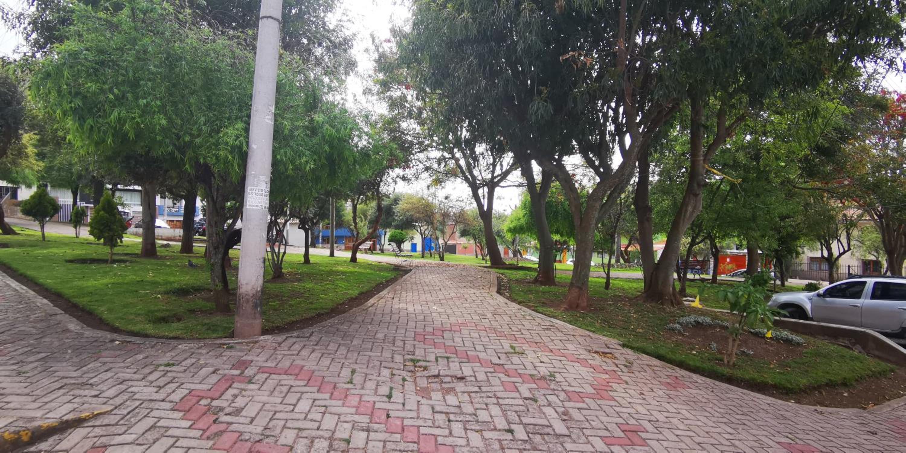 Photo 15