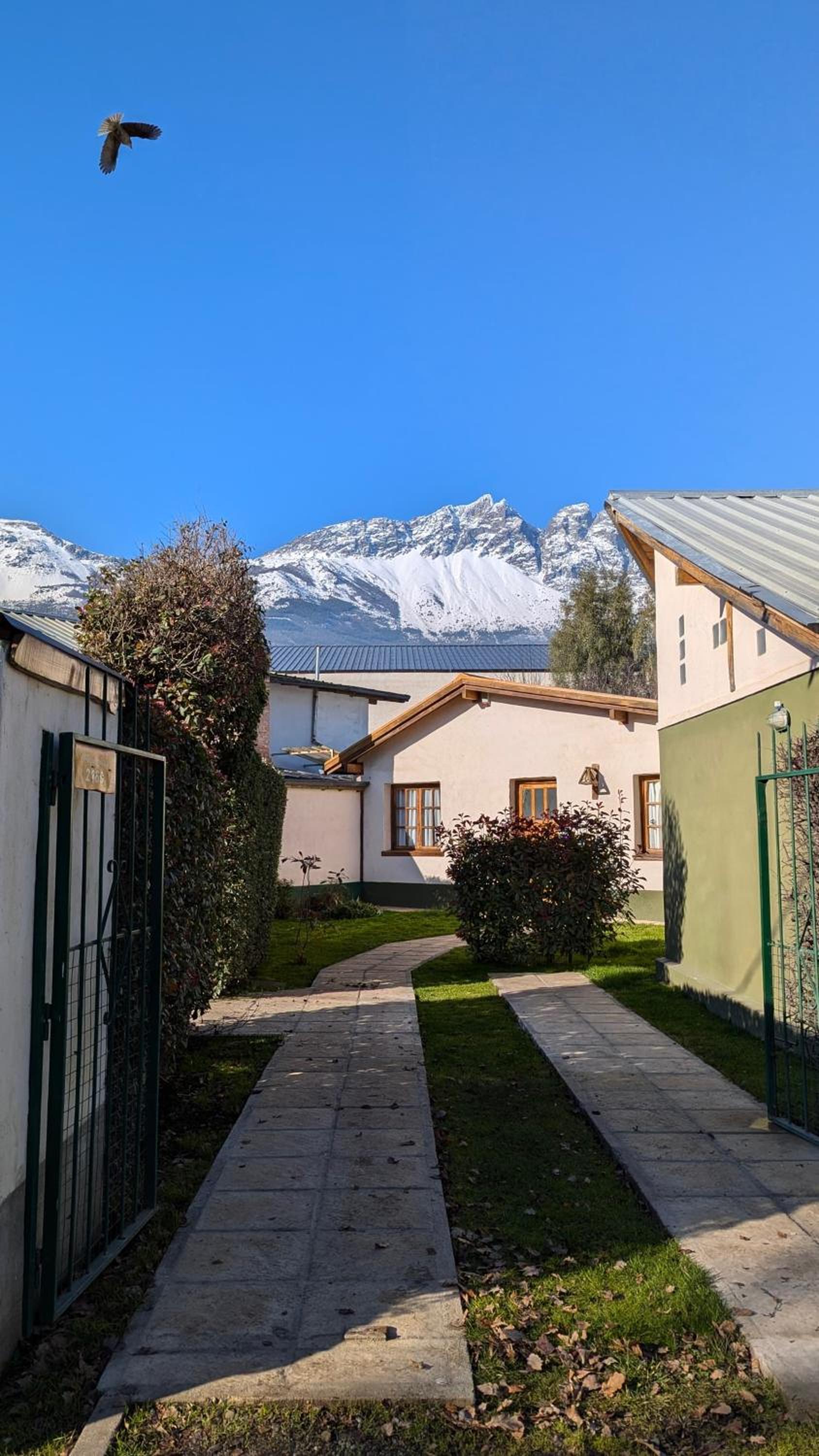 Cabañas Willy