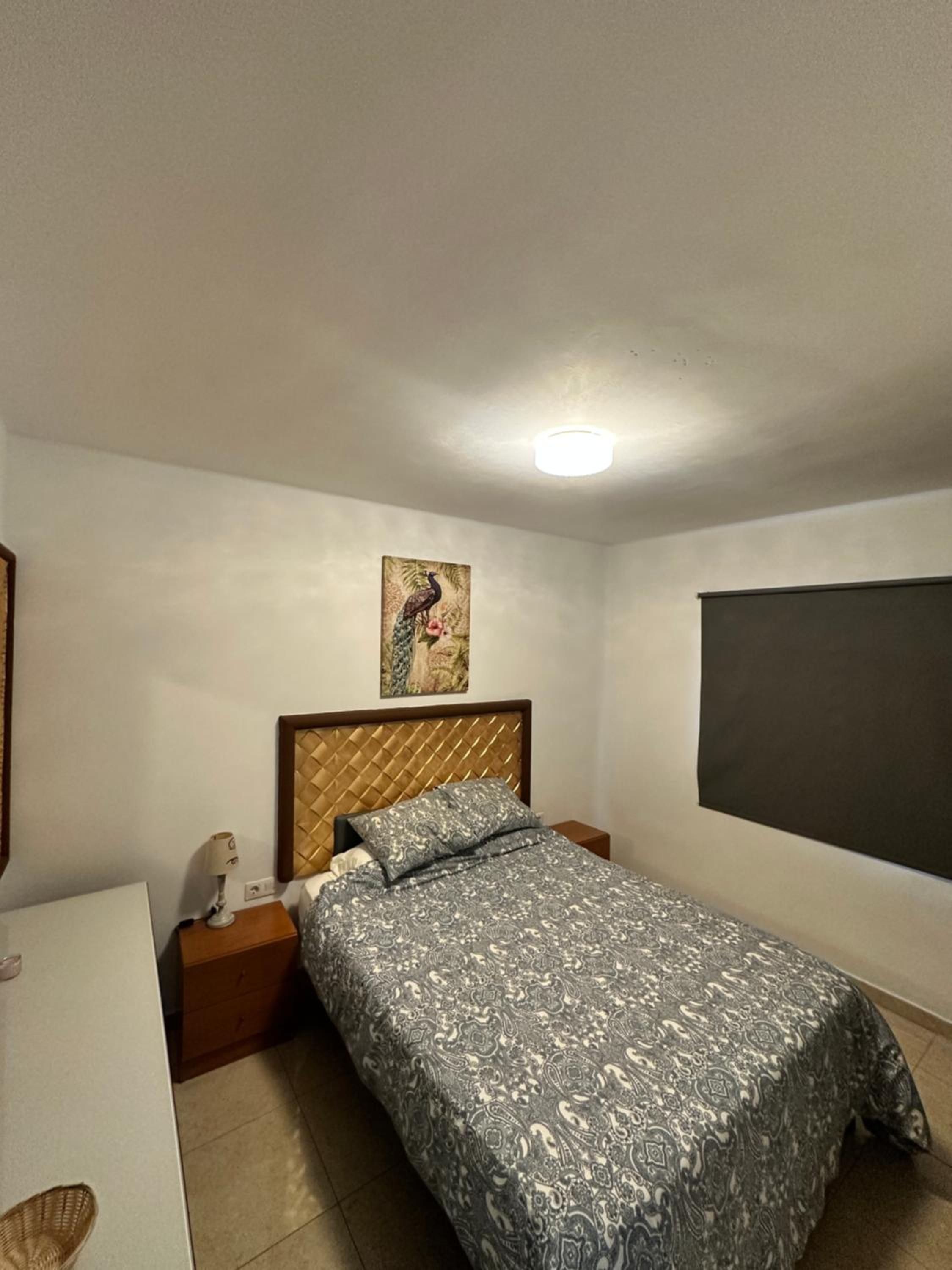 Walstad Apartment Beachside