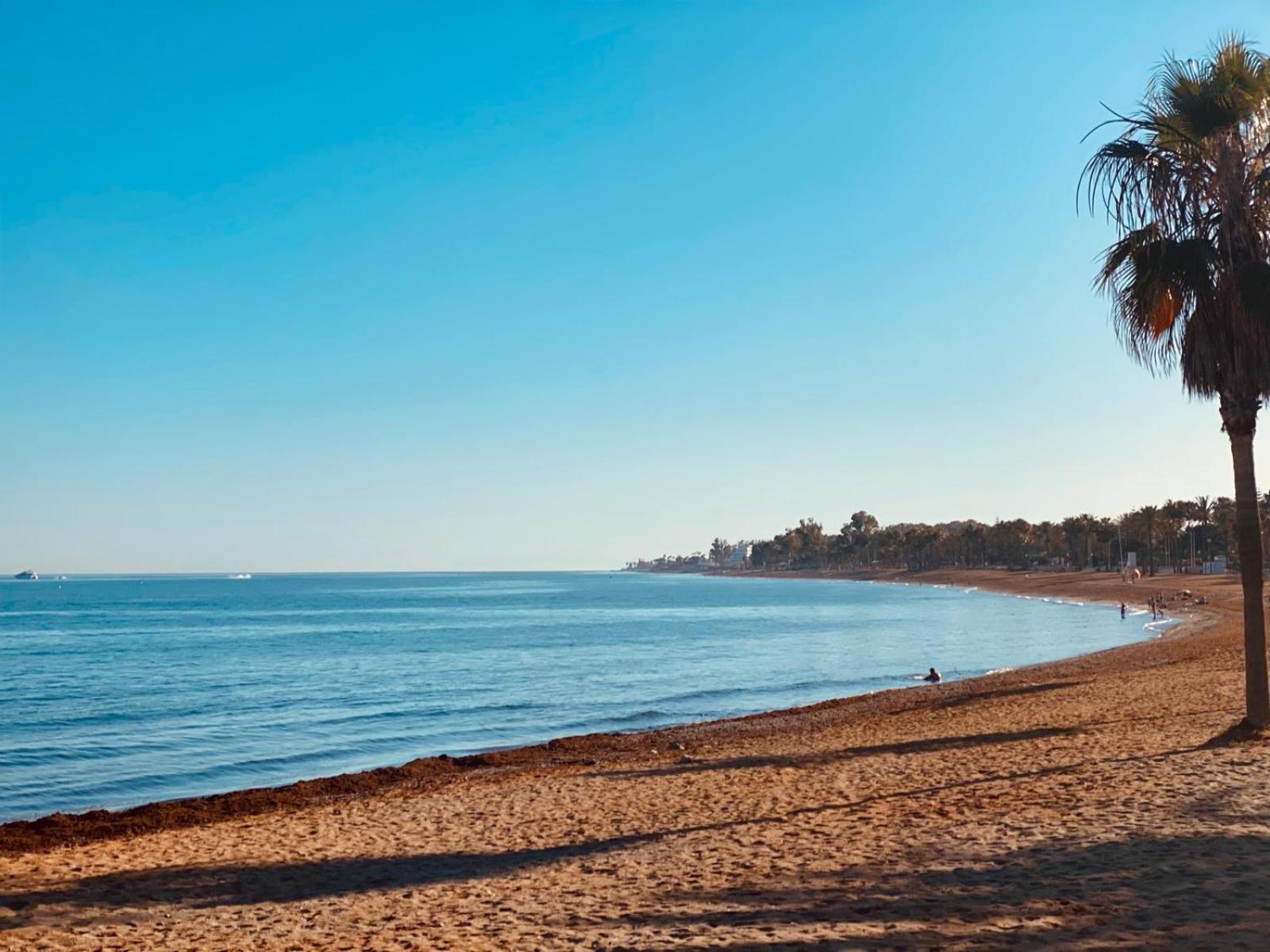 New - MiJa basement Loft Apartment steps from Beach - perfect for Sun and Sport Seekers photo 3