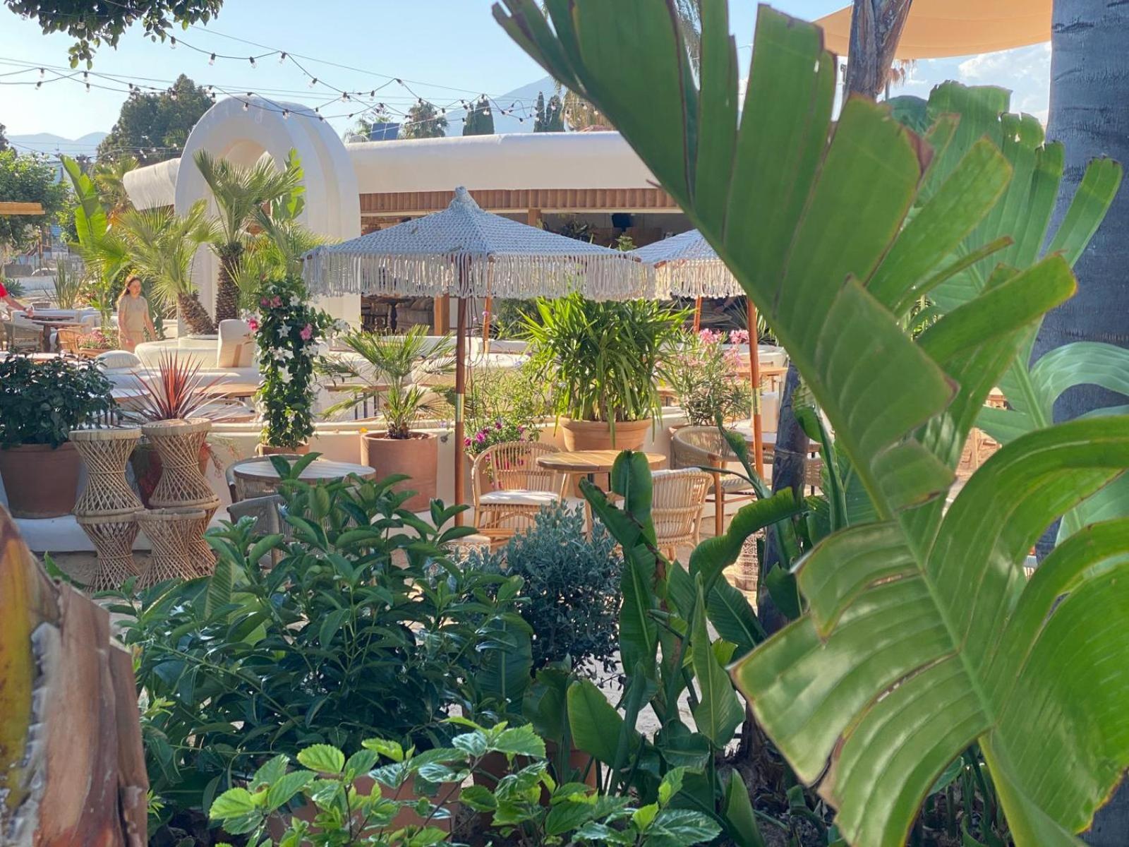 New - MiJa basement Loft Apartment steps from Beach - perfect for Sun and Sport Seekers photo 4