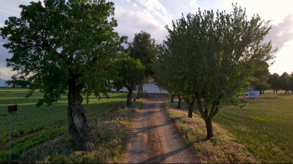 La Huerta de Don Fernando view 2