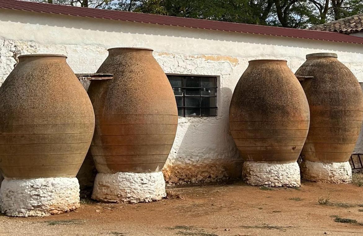 La Huerta de Don Fernando view 5