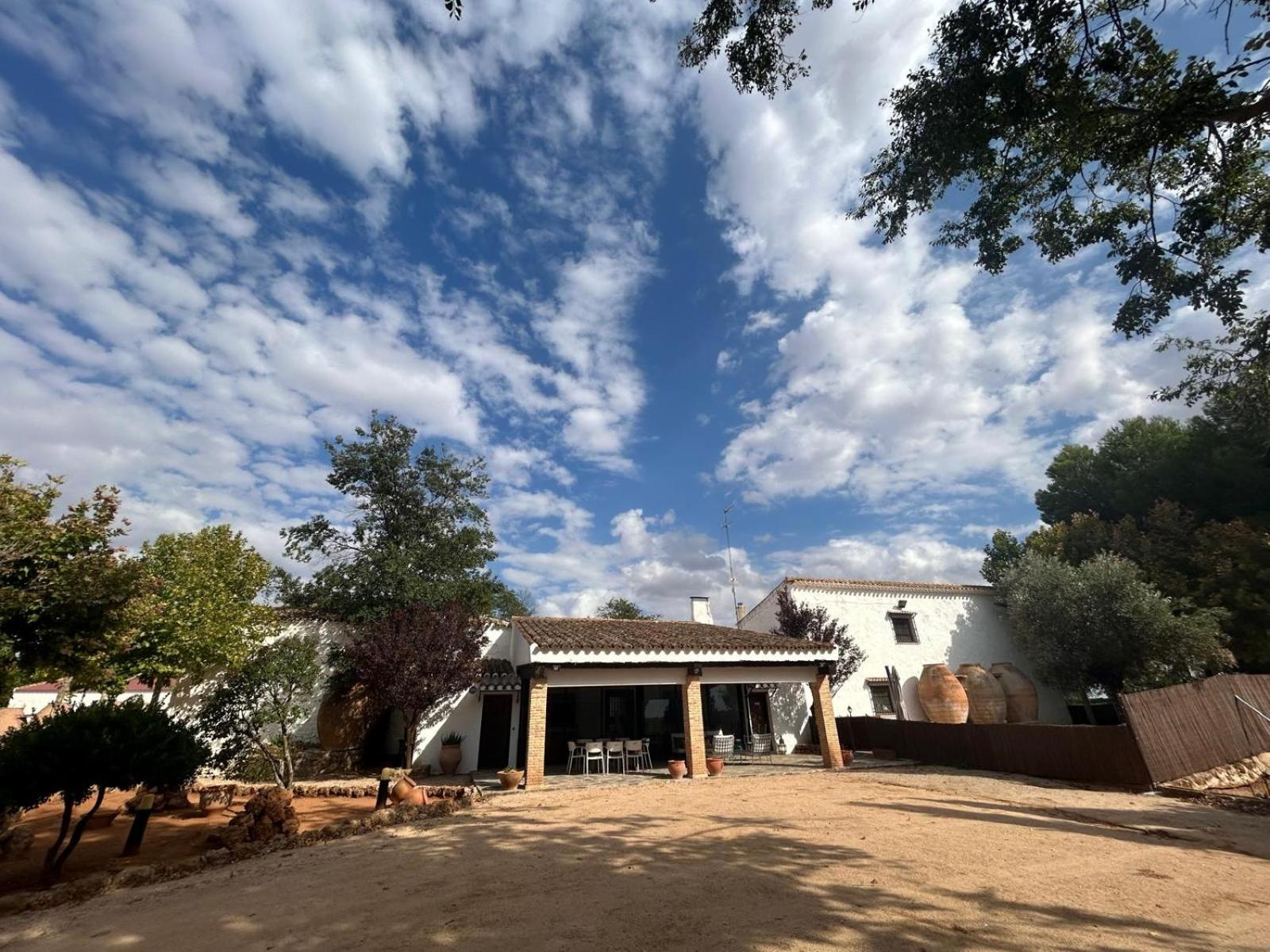 La Huerta de Don Fernando view 4