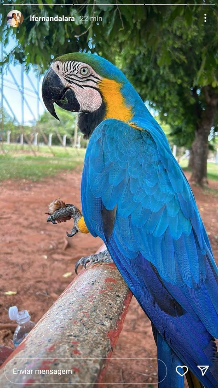 Área de Lazer