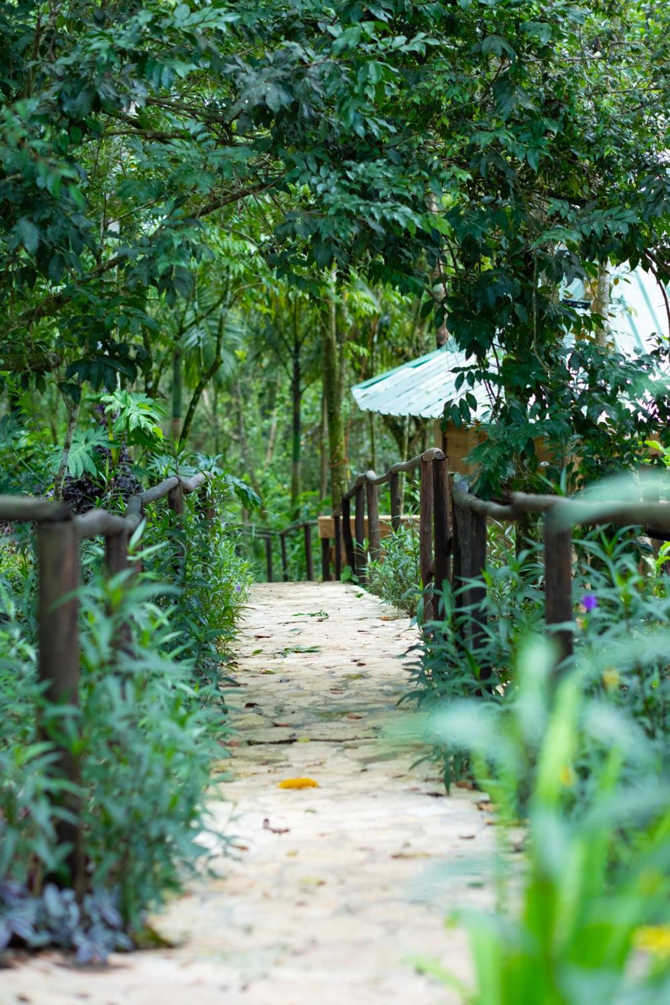 The Grand Forest Jarabacoa
