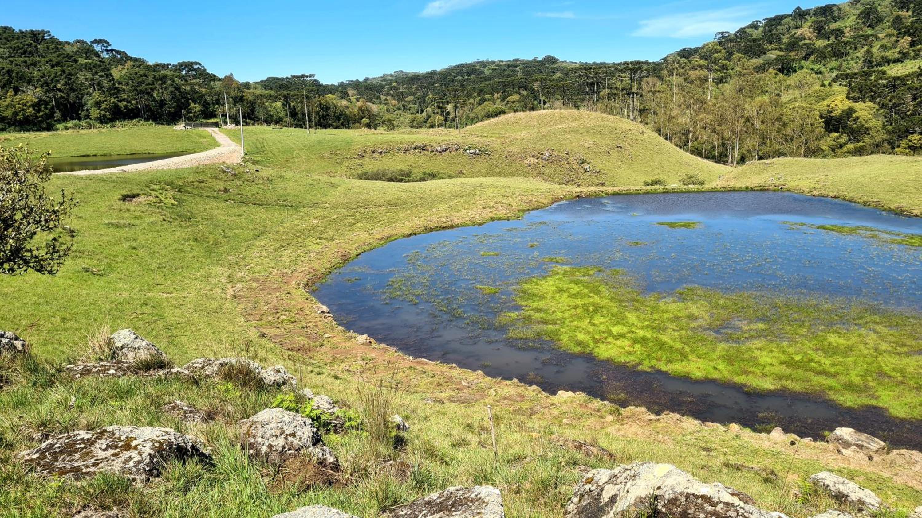 Brumas Casa de Campo - Cambará do Sul