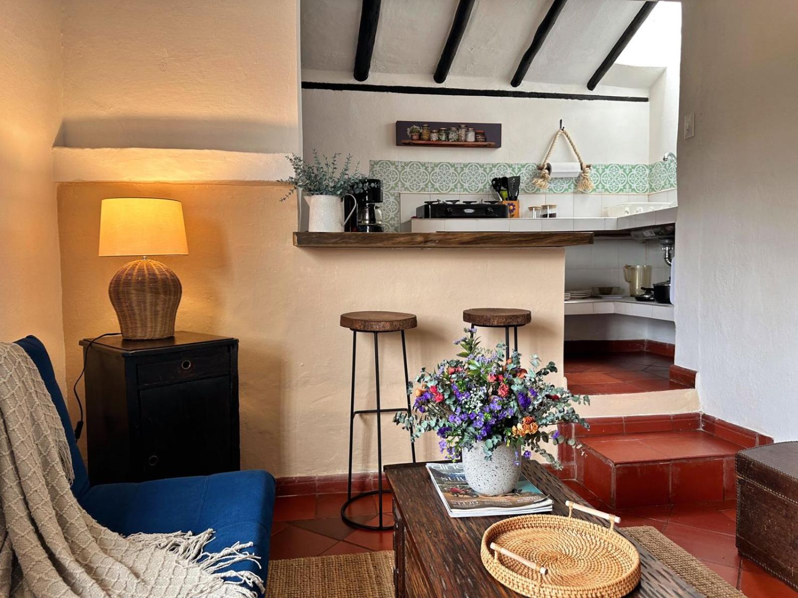 Apartasuite excelente ubicación - Centro Histório