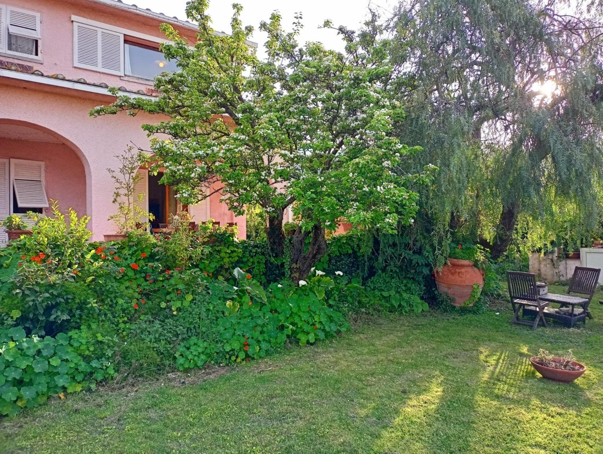 Villa Ontanelli - 500mt dal mare