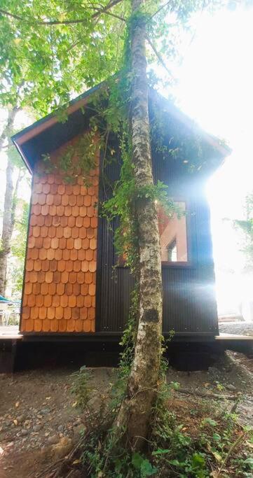 Tiny House nueva en el bosque a 6 min de Pucón
