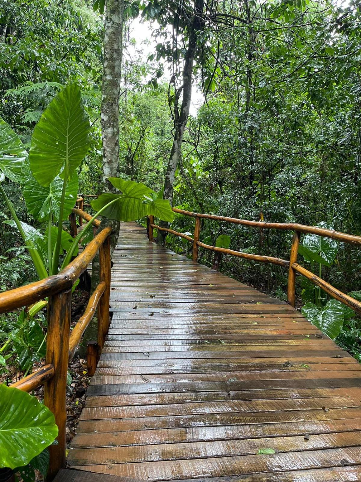 La Aldea De La Selva Lodge