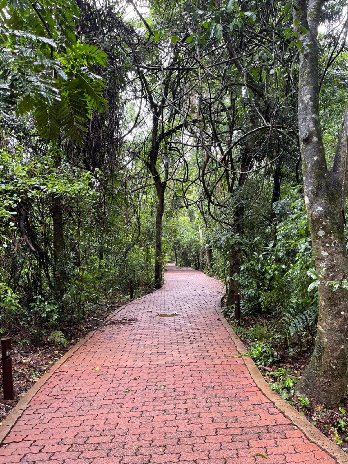 La Aldea De La Selva Lodge
