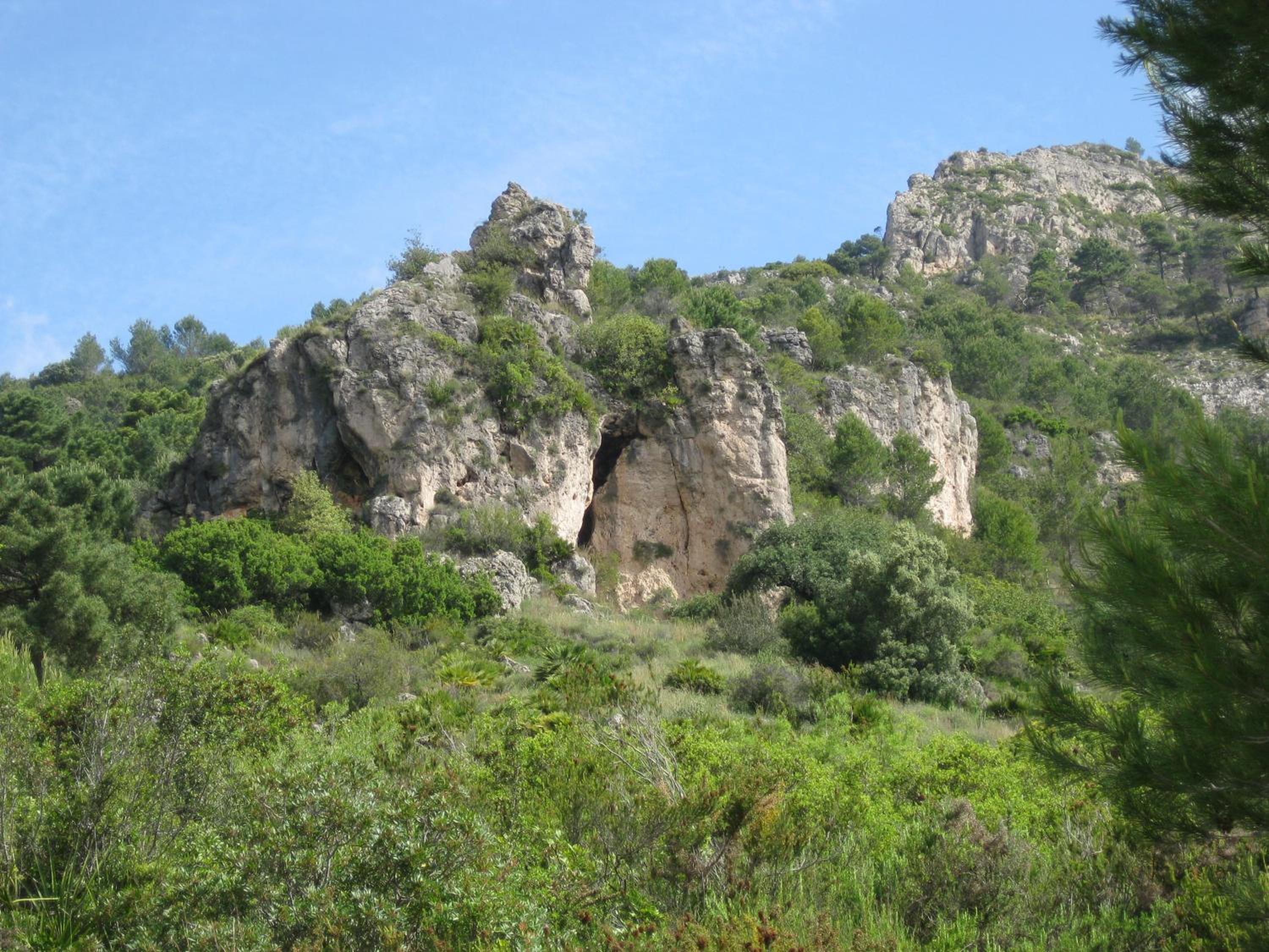 Photo 25