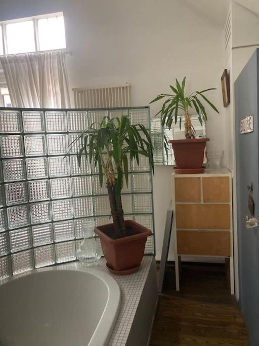 Le loft des artistes