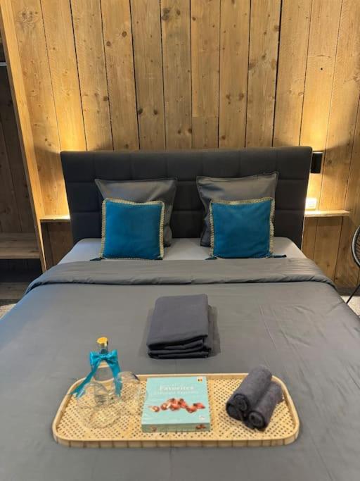Grote kamer in centrum Brugge