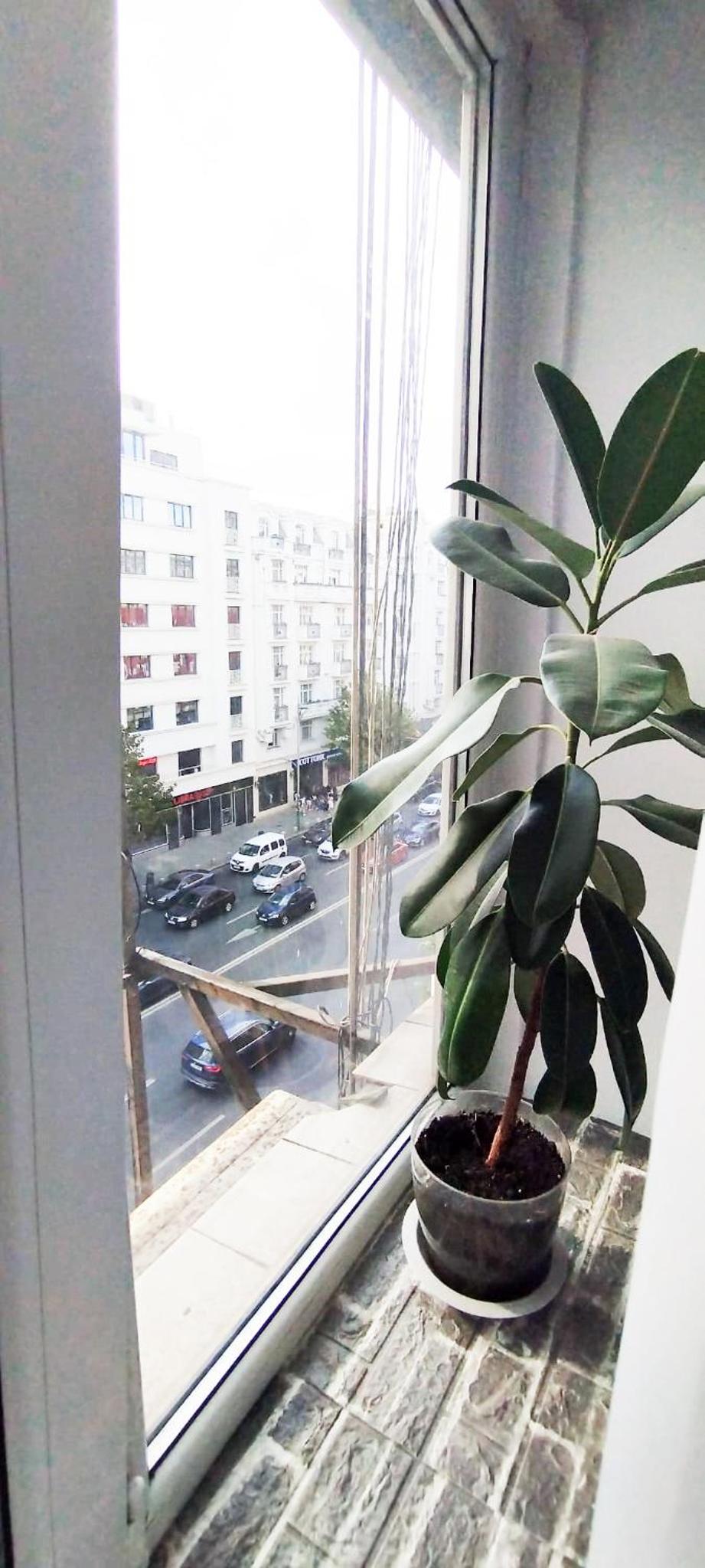 Cozy Studio Magheru view 2