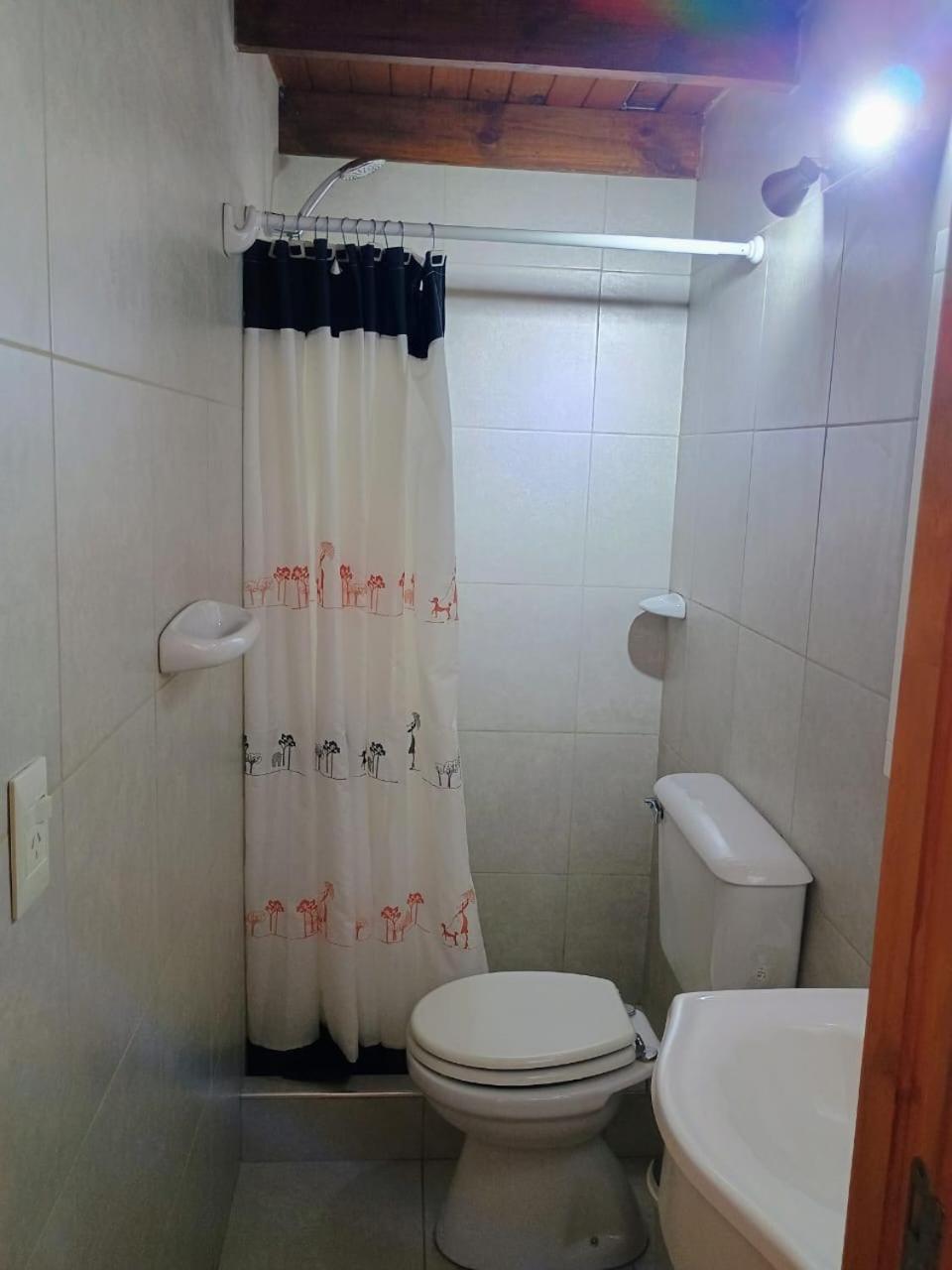 Cabaña Lacar