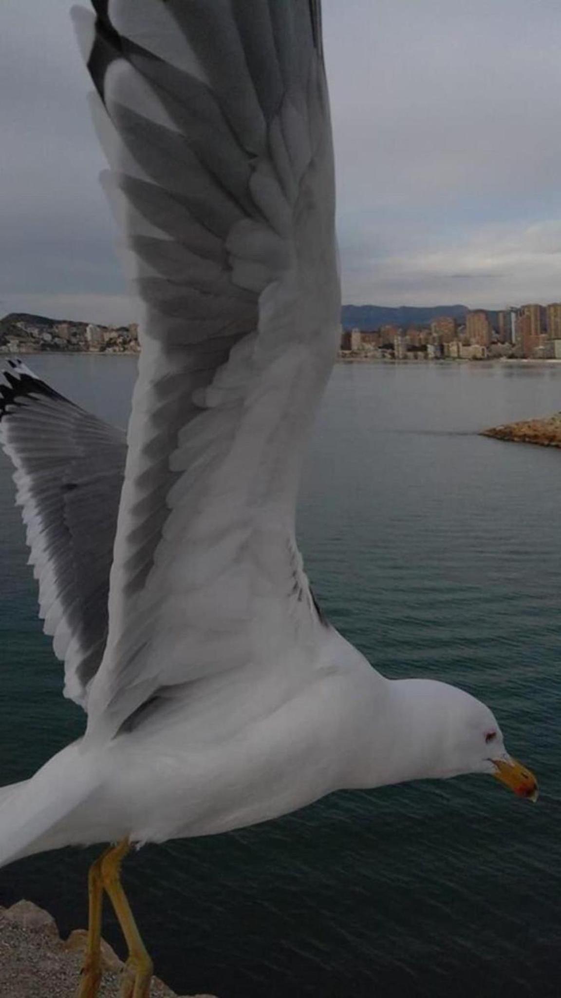 Benidorm Levante