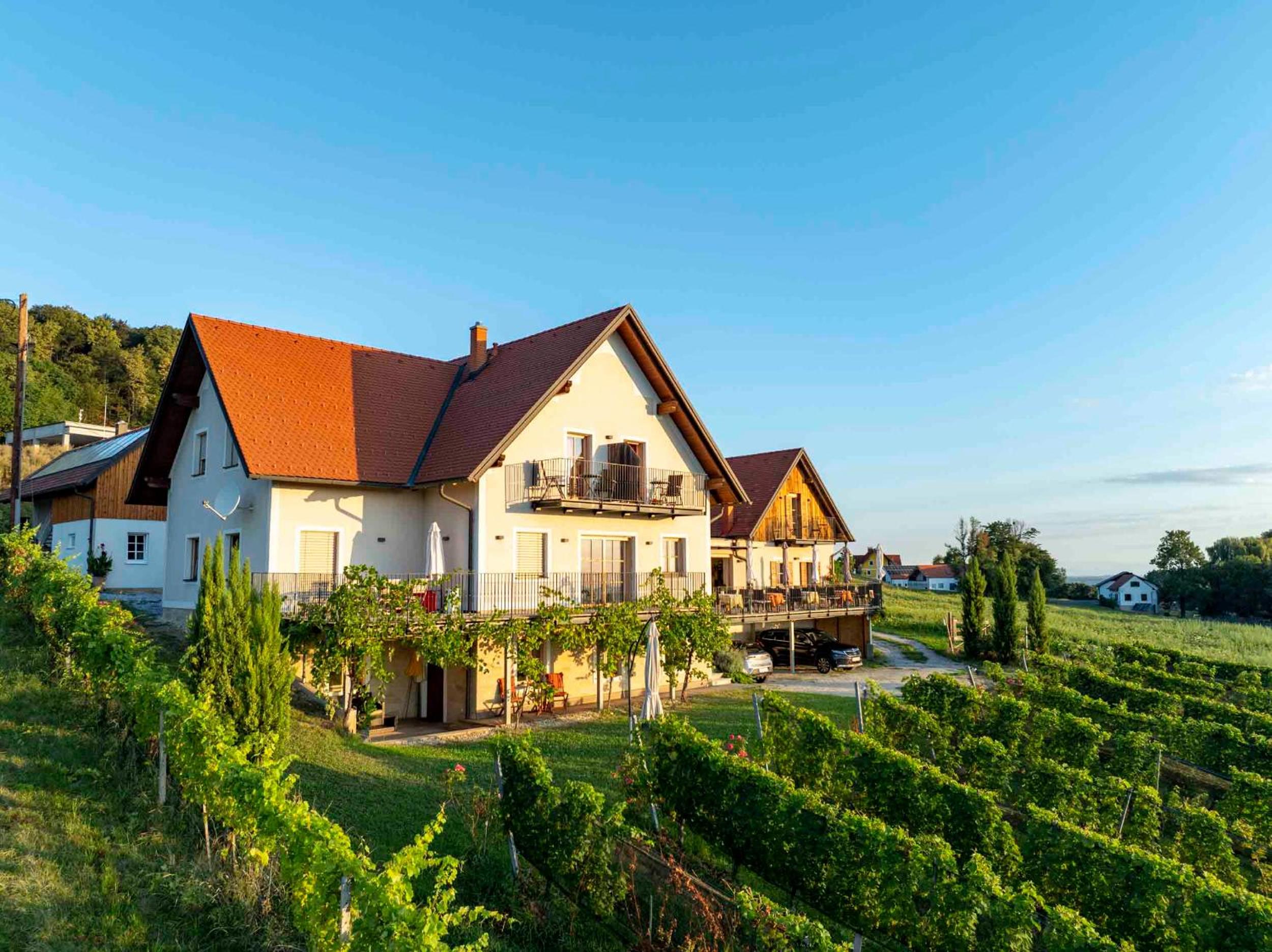 Winzerzimmer Scharl