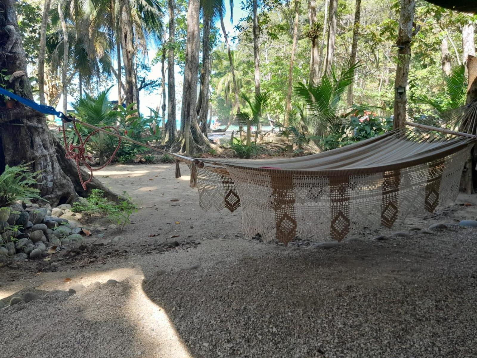 Beachfront Apartment Punta uva