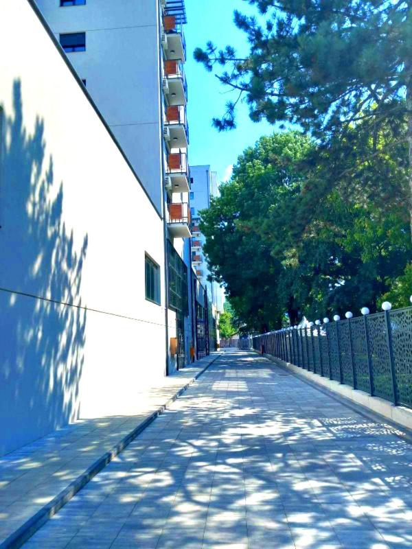 Orca Apartman view 5