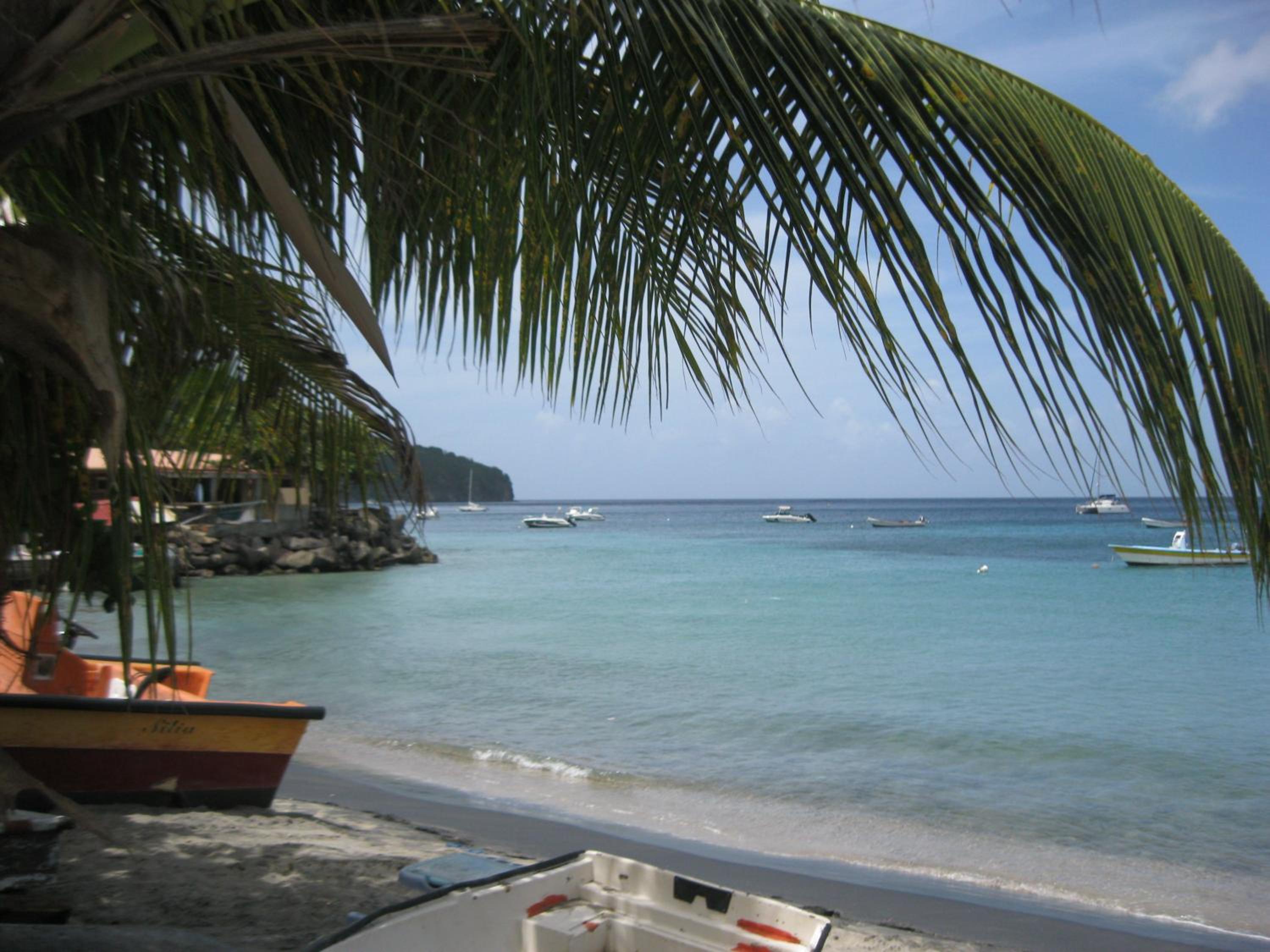 LAPALOMADESANSEs