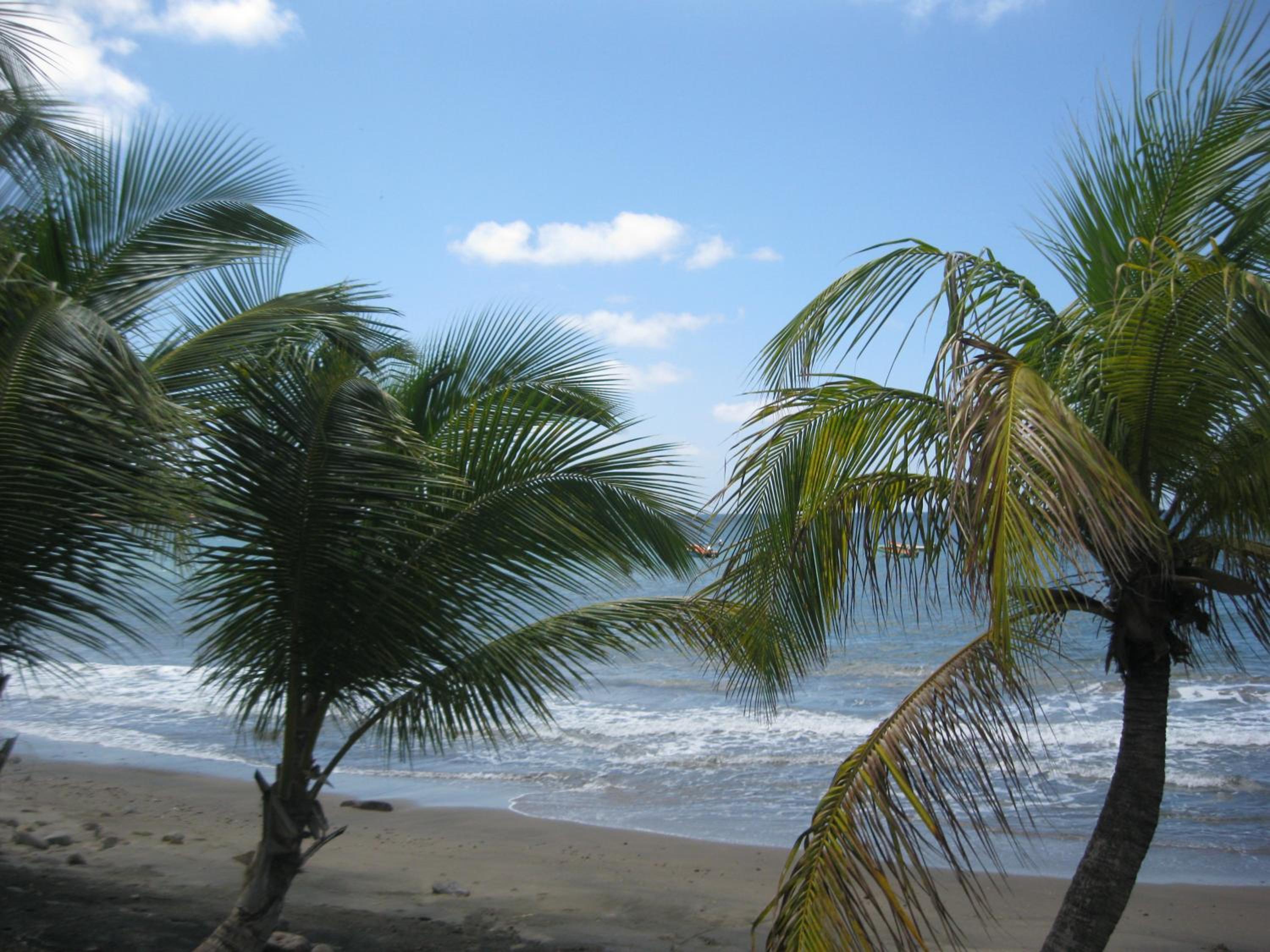 LAPALOMADESANSEs