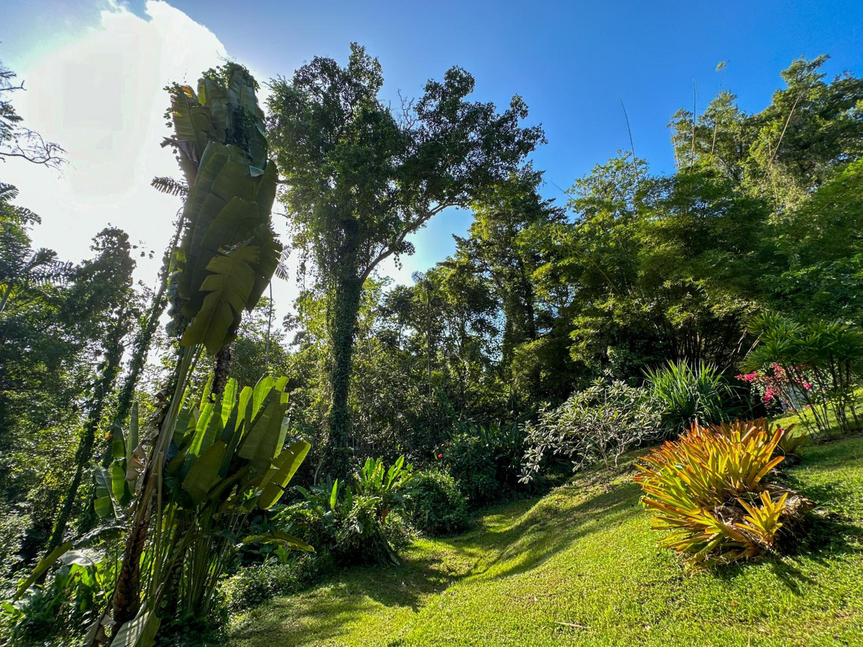 Villa Paraíso - Oasis Privado con Piscina en Punta Uva
