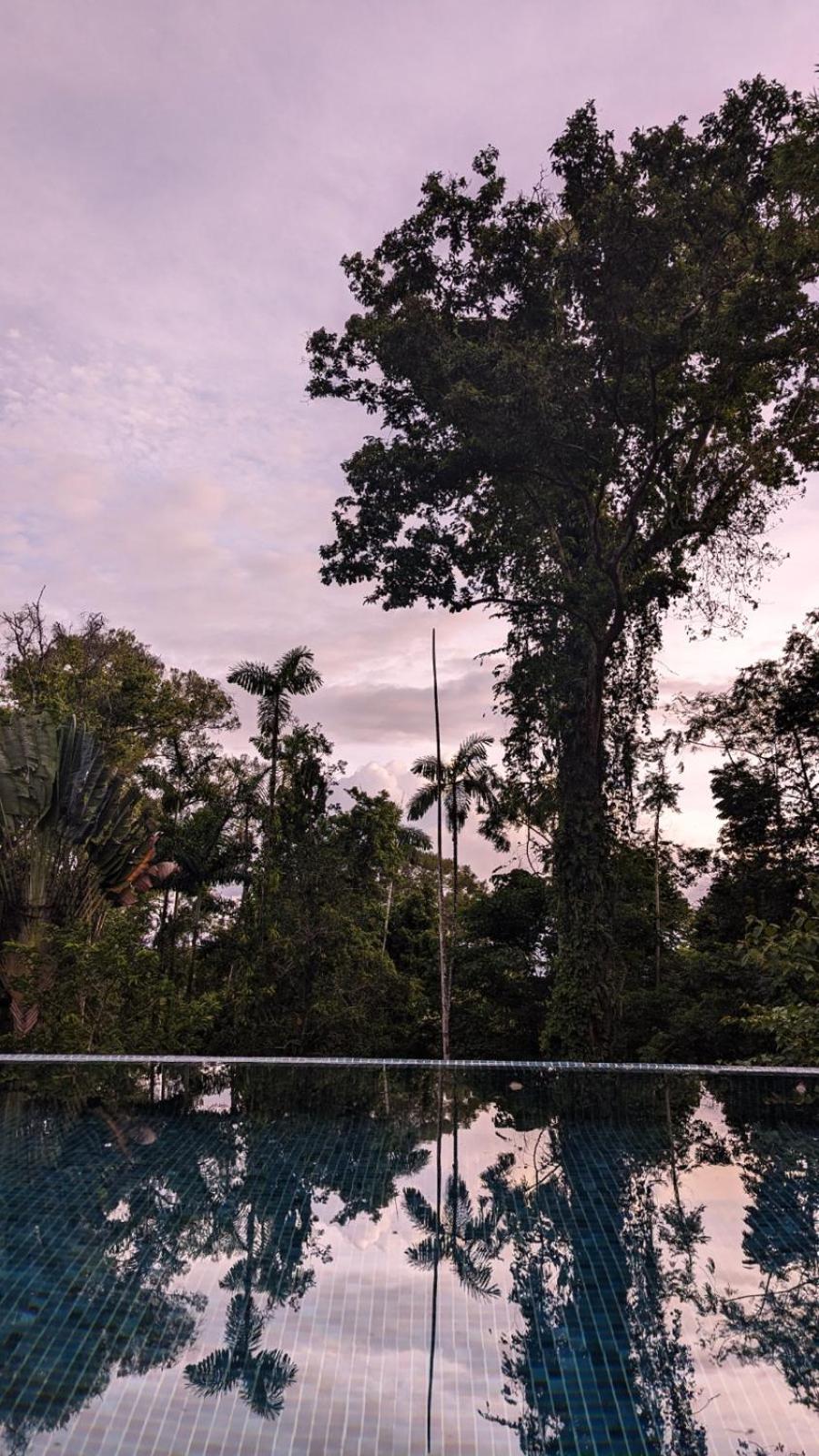 Villa Paraíso - Oasis Privado con Piscina en Punta Uva