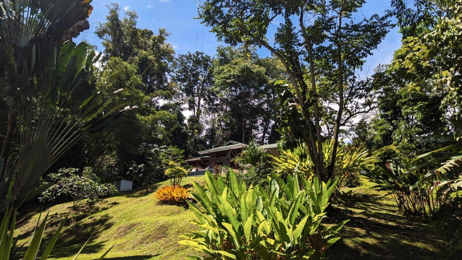 Villa Paraíso - Oasis Privado con Piscina en Punta Uva