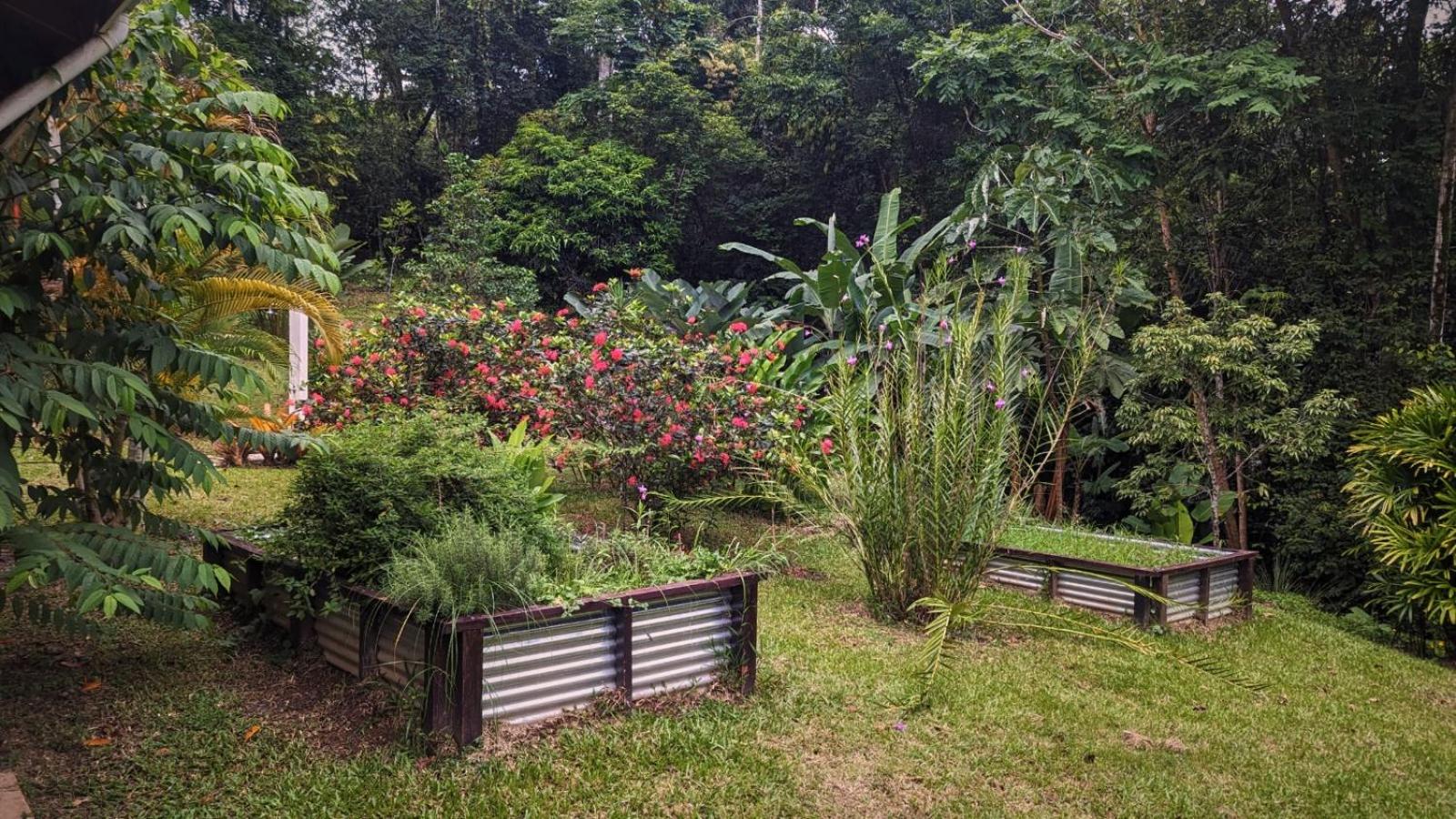 Villa Paraíso - Oasis Privado con Piscina en Punta Uva