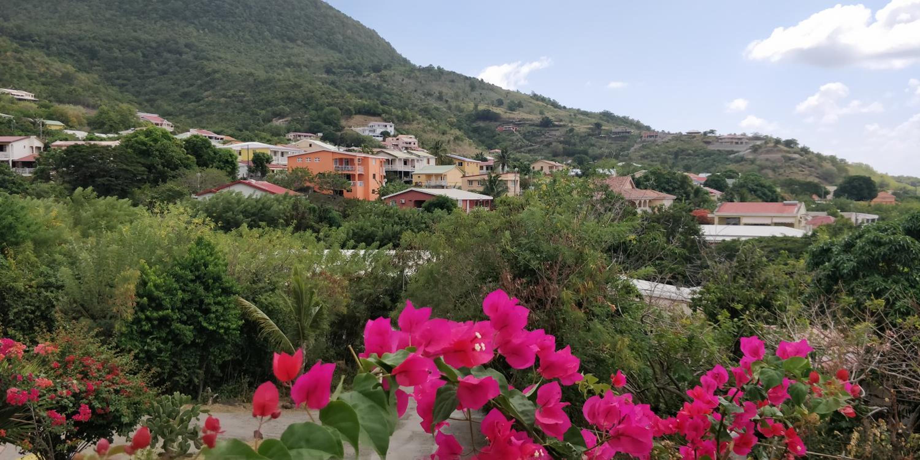 LAPALOMADESANSEs
