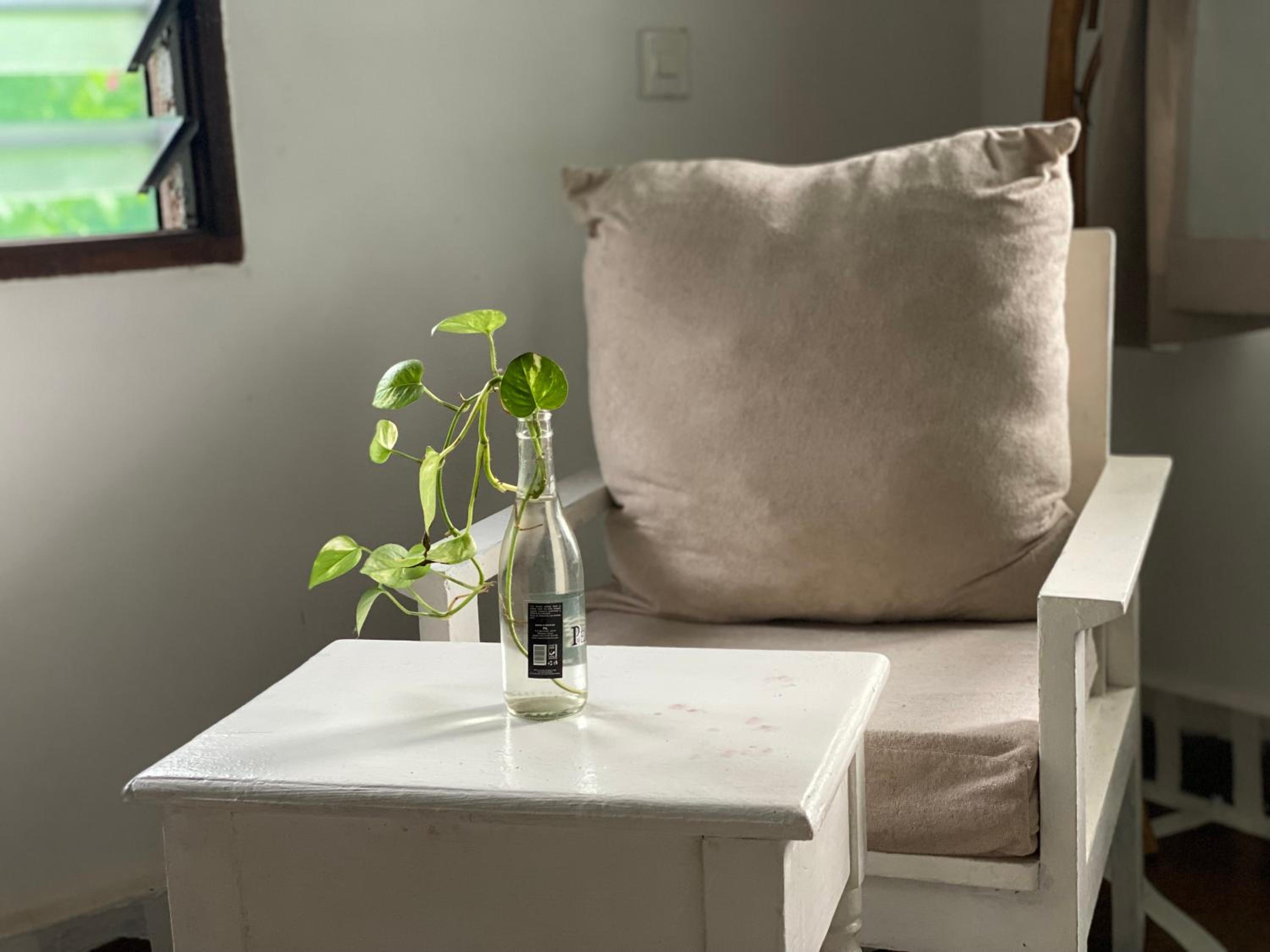 Garden view apartment